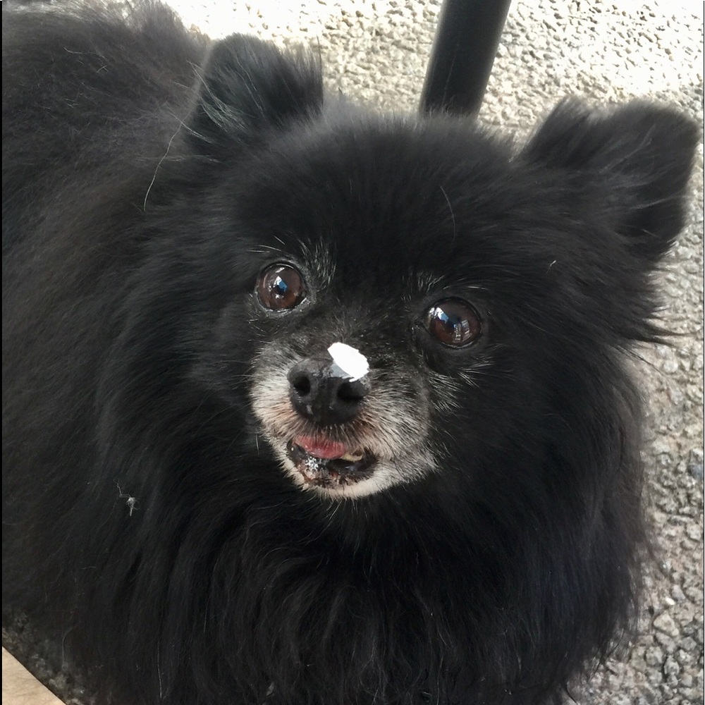 Meet your Posher, Heidi